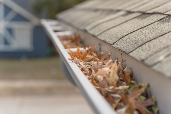 Leaf Barrier Installation in Muncie