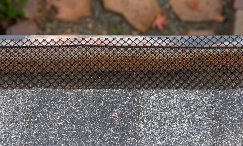 Protective Gutter Mesh
